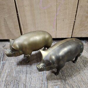 brass hogs